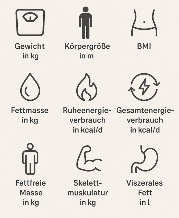 Die Grafik zeigt die Parameter auf, die bei einer Bioimpedanzmessung gemessen werden